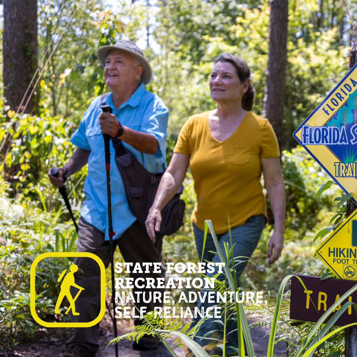 Florida Forest Service tweet media