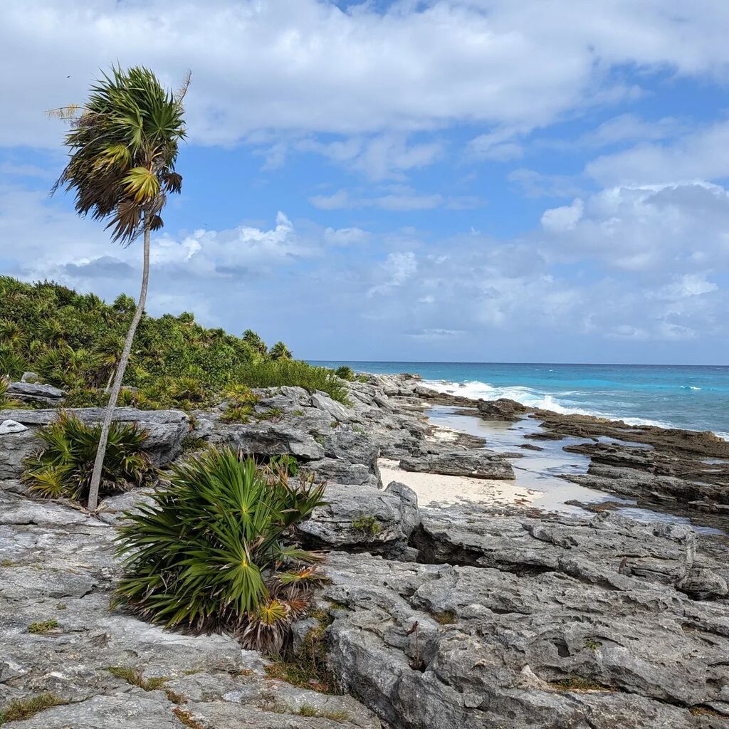 instagr.am/p/Cn2ixRrvpsM/