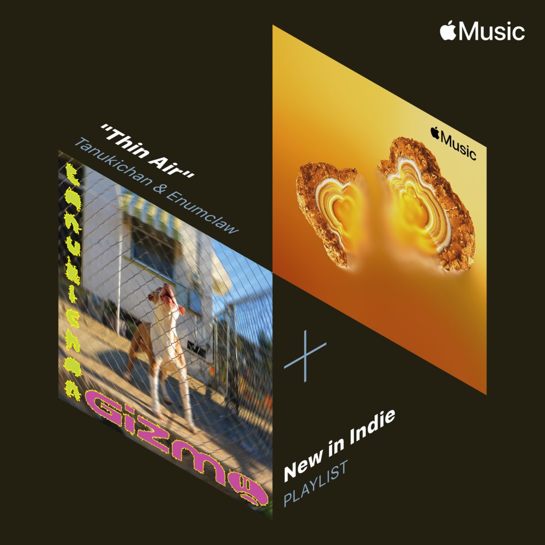 Tanukichan tweet media