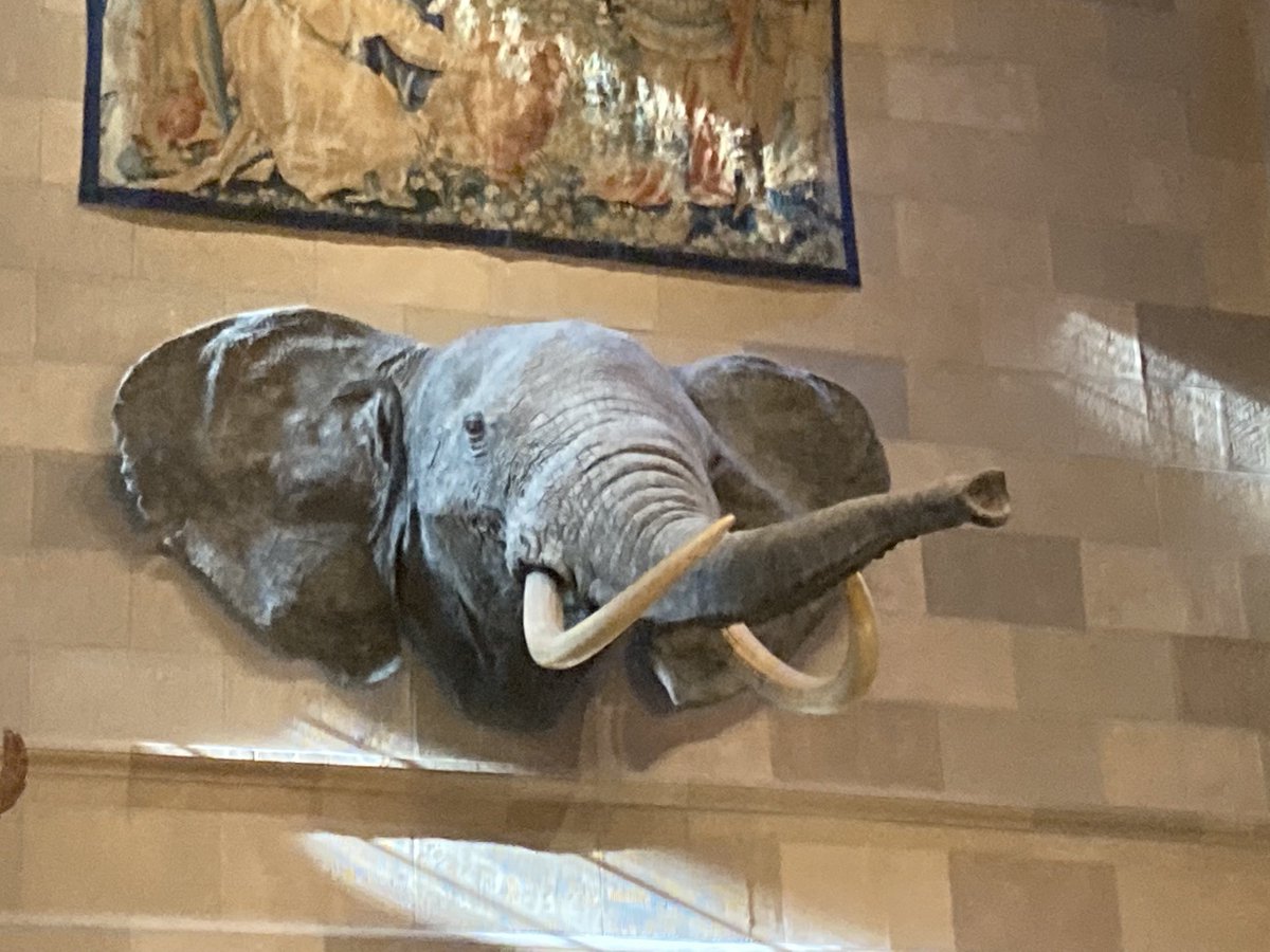 The elephant in the room… at #HarvardClub in #NewYork