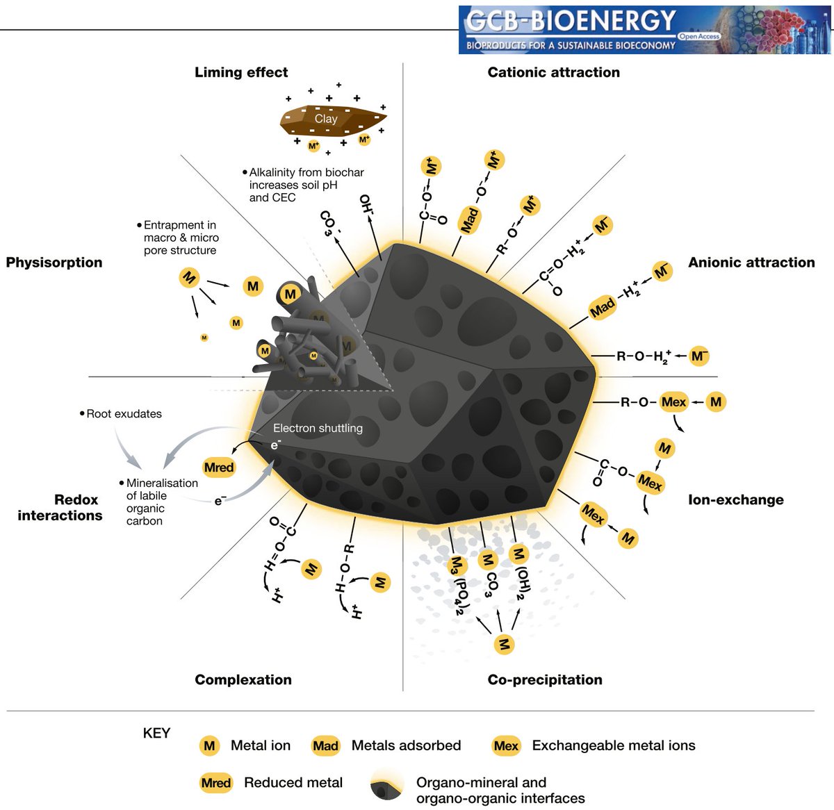 ykuzyakov's tweet photo. Happy to share:
Our Highly Cited 🏆 and Hot 🌶️Paper:
How biochar works, and when it doesn't: A review of mechanisms 
was one of the top 10 most downloaded articles published in @GCB_Bioenergy 
#biochar #sequestration #soil #soilorganicmatter #SoilHealth #GHG https://t.co/plZGhKcjV4