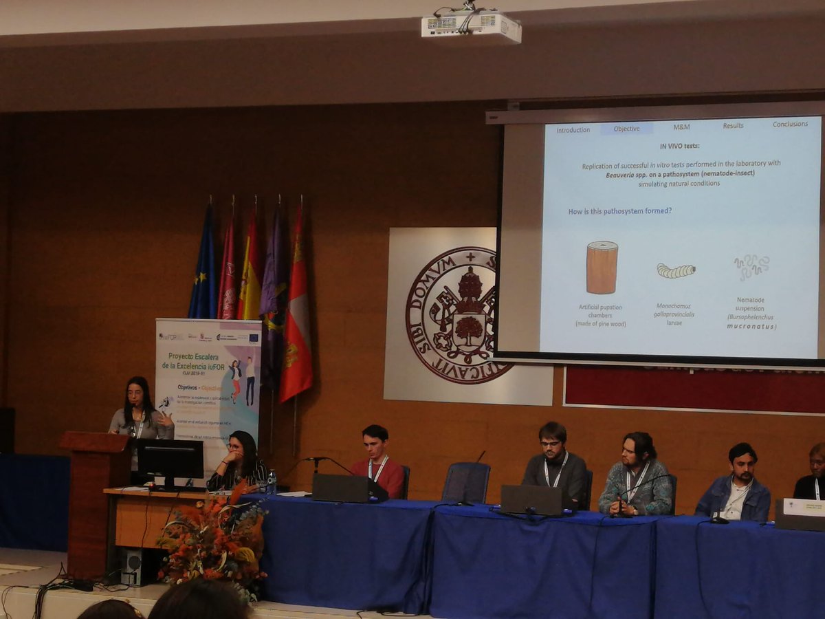 forestpatuva's tweet photo. And this afternoom in the XVII  Edition of the Young Foresters Meeting at ETSIIAA/UVA-IUFOR very interesting presentatiions of Tamara and Mateo on the Biological Control of Bursaphelenchus xylophilus the Pine Wood Nematode (PWN)!!!
@YoungForesters https://t.co/ezajG0Y4CI