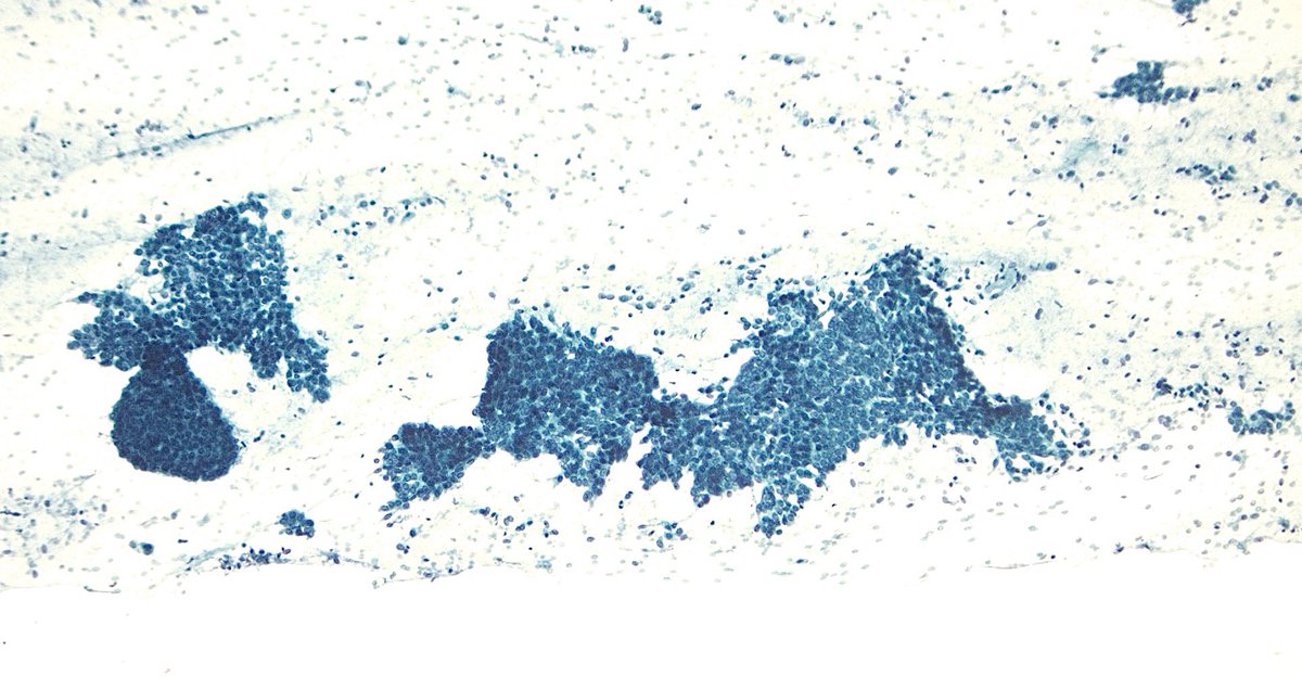 Sam Khader, MD tweet media