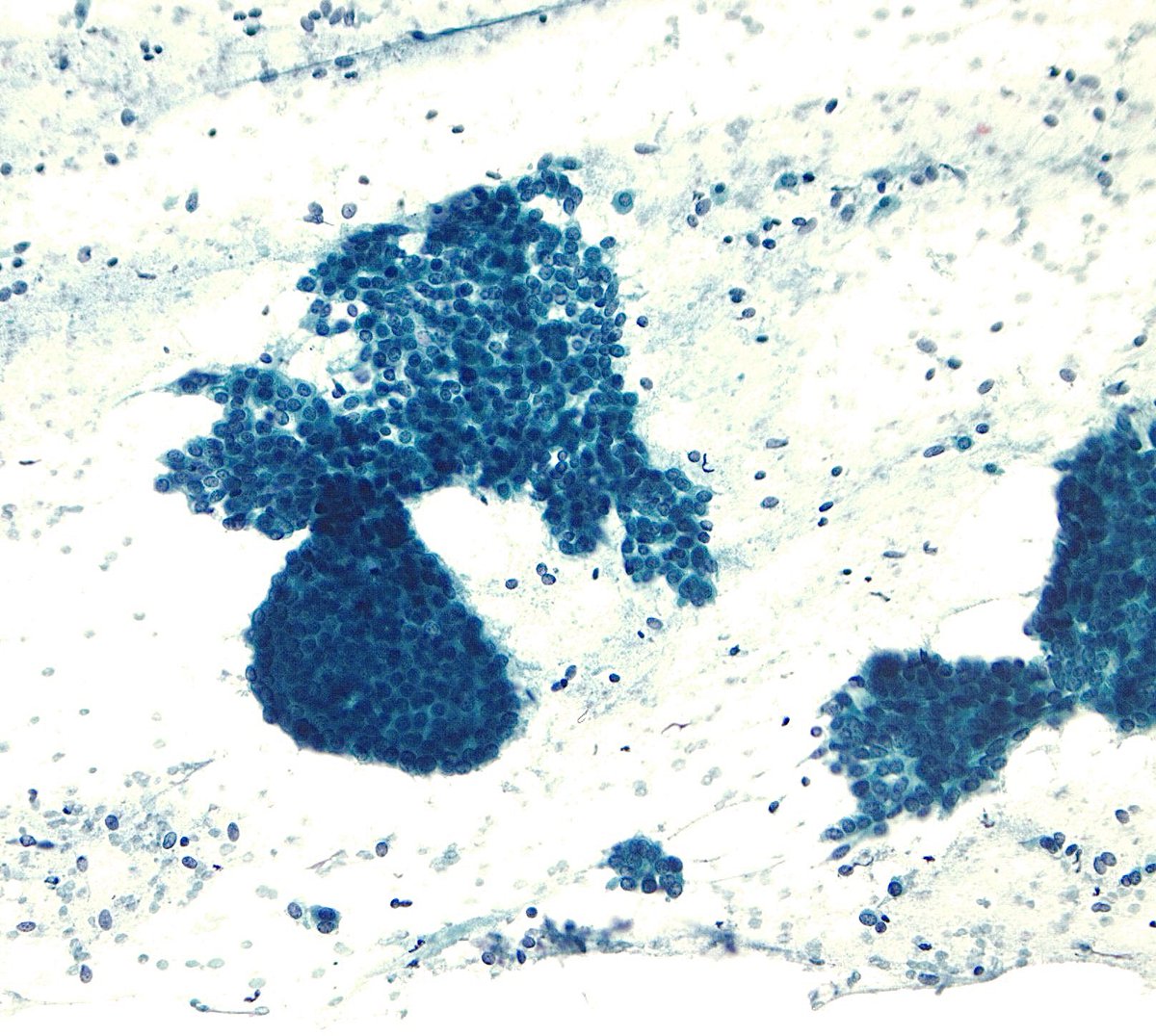 Sam Khader, MD tweet media