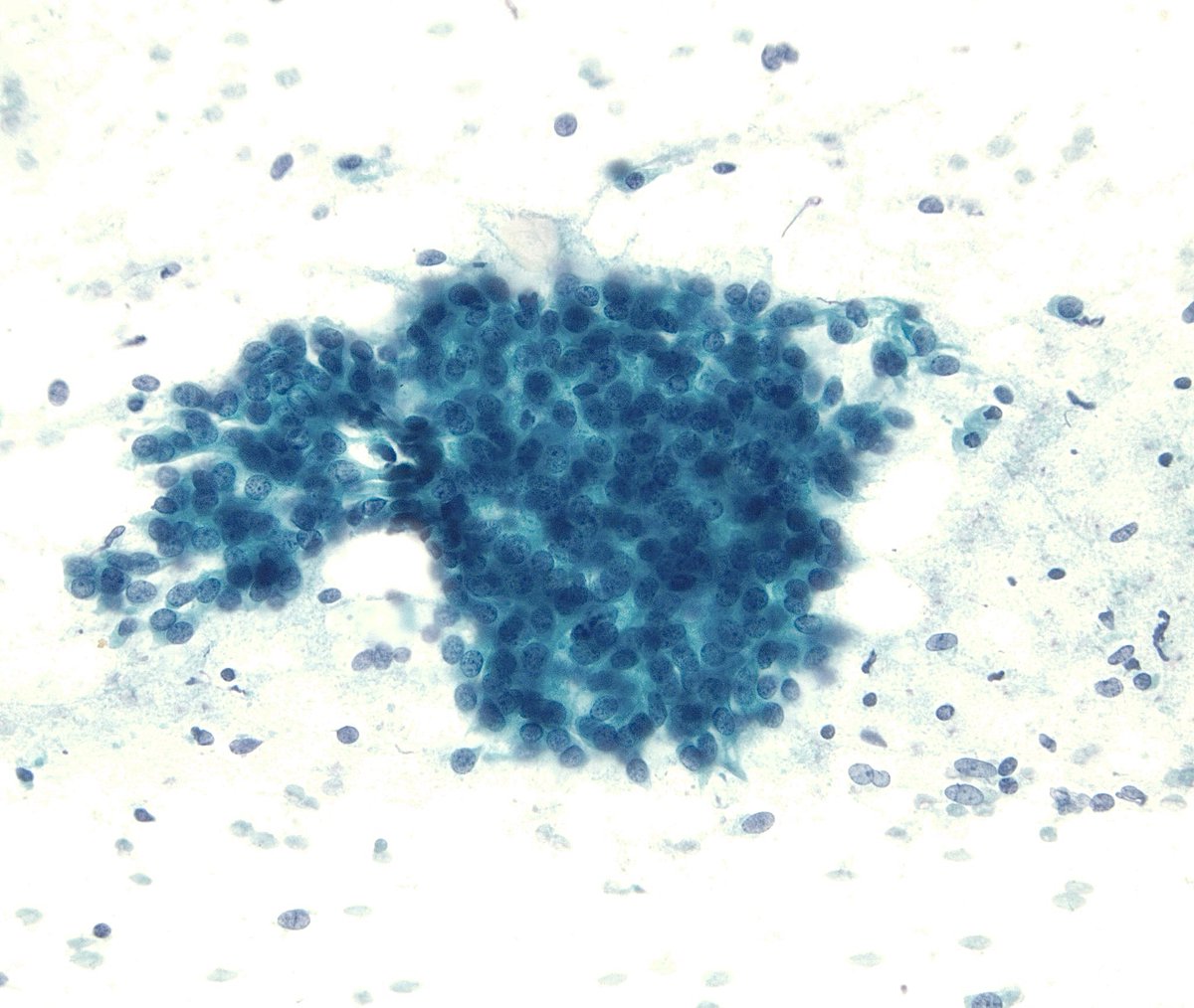 Sam Khader, MD tweet media