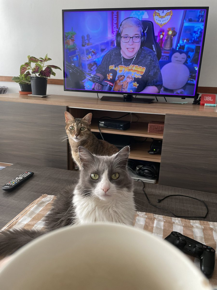 romial07's tweet photo. Meriendita mirando @BoffeGP mientras me quieren robar el yogurt jaja 😻 https://t.co/5ZFRILZ9Sx
