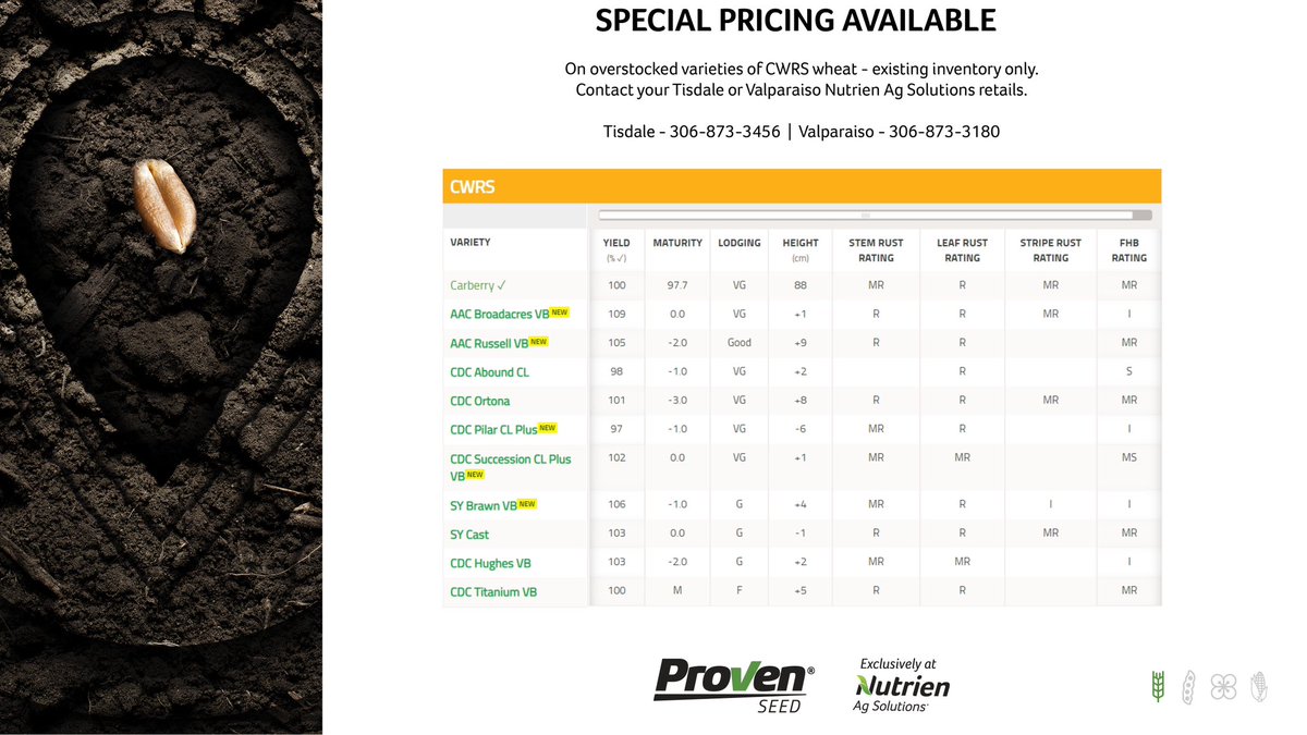 lecowell's tweet photo. Looking for some new wheat seed for 2023? Our Tisdale location has some excellent options of brand new varieties, but they need to make room for even more seed arriving.  Give them a call at 306-873-3456! https://t.co/ptbVEfRAsu