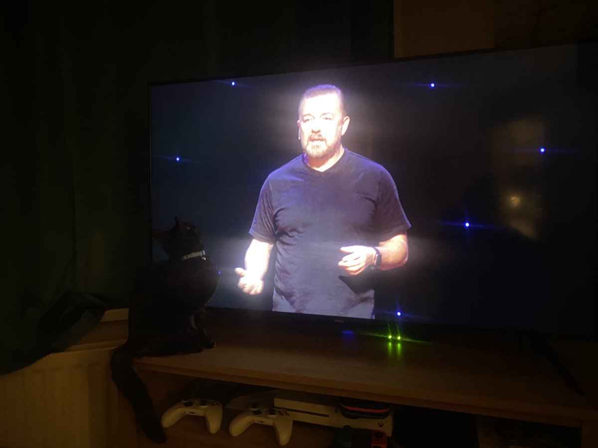 sal_slapcabbage's tweet photo. @rickygervais my cat likes watching you https://t.co/Ho4solTce6