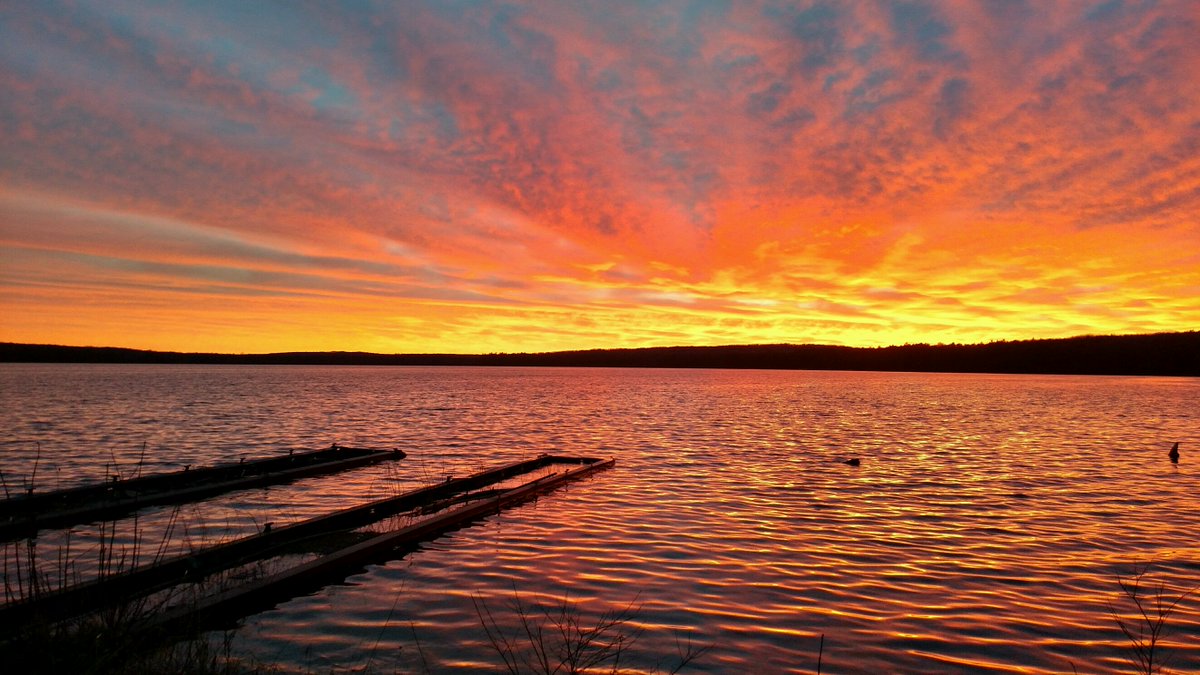 Aimée Classen tweet media