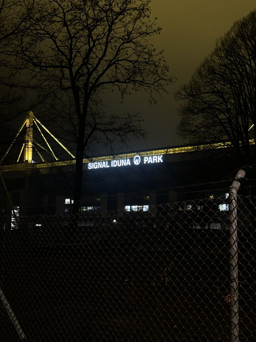 Dortmund AmazedOne🇧🇪🇩🇪🇵🇸 tweet media