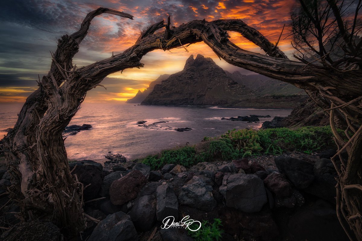 Dani Garcia (@danigrstudio) on Twitter photo Marcos inolvidables
#Tenerife #Canarias #Sunset #Dawn #landscapephotography <a href="/VisitaVen/">Ven de Visita a Tenerife</a> @visit_tenerife Marcos inolvidables
#Tenerife #Canarias #Sunset #Dawn #landscapephotography <a href="/VisitaVen/">Ven de Visita a Tenerife</a> @visit_tenerife