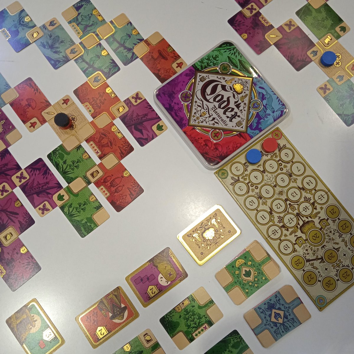 bea_parera's tweet photo. Mucho de @Mercurio_Juegos y algo de @MalditoGamesES para pasar la tarde en @bazar_iglesias con mi tendero favorito @rmegiasiglesias. 😊
Dados, cartas y más cartas. 
#HeroesDeTherion #CodexNaturalis #TheGame #TheMind https://t.co/uJ15OiB7RY