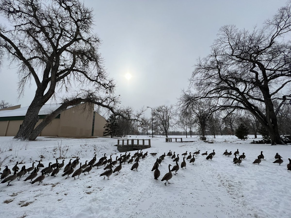 chris_tomer's tweet image. Beautiful Winter day in Denver!