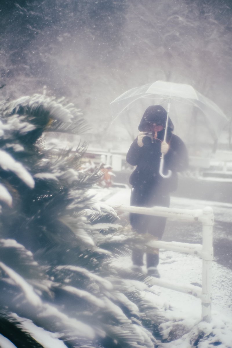 ty__photo's tweet photo. 嫁と雪

#fujifilm 
#fujifilm_xseries 
#富士フイルム 

#田舎道 
#ポートレート 
#portrait 
#おくさんぽ

#お写ん歩 
#キリトリセカイ 
#写真好きな人と繫がりたい 
#カメラ好きな人と繋がりたい 
#ファインダー越しの私の世界 
#写真で伝える私の世界 https://t.co/vnr1SpxNhz