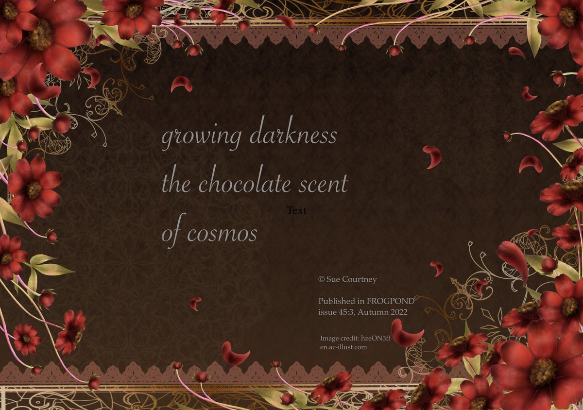 # Haiku #Frogpond

growing darkness
the chocolate scent 
of cosmos
 ~ Sue Courtney

FROGPOND – issue 45:3, Autumn (October) 2022