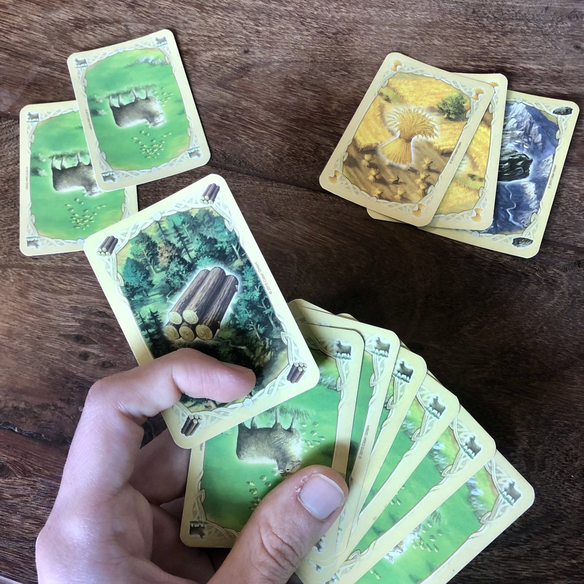 settlersofcatan's tweet photo. Happy Opposite Day! 🥳 we'll like to remind everyone to only trade for sheep, build cities in 2 &amp; 12, and don't forget to have more than 8 cards when the 7 is rolled. 🤡🎲

#catan #settlersofcatan #oppositeday https://t.co/soR8uCTz0C