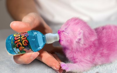 Hum_Pinky's tweet image. mmnmm...... that good stuffs....