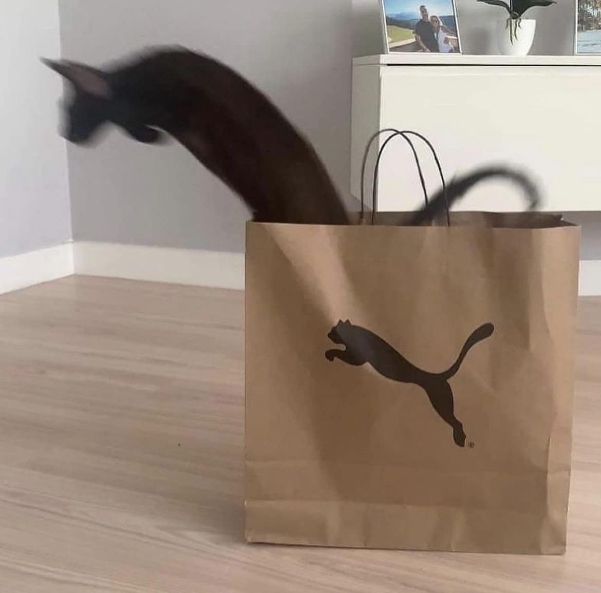 Blest ♰ Boys (@blestboys) on Twitter photo 