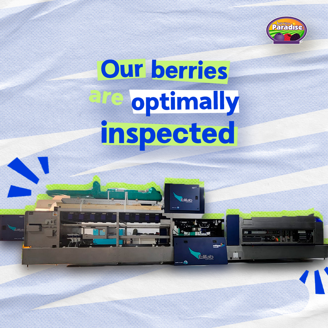 Berries_Paradis's tweet photo. Our optical sorting machine 🔎 is a new tool that will enable our quality team 🧐 to optimize their processes.✨​

#Tektor #Selectora  #Examination #Quality #BerriesAnywhereAnytime #BerriesParadise #Nature #Berries #Berry #Raspberries #Blackberries #Blueberries #Jumbos #Organics https://t.co/Zco490h4P3