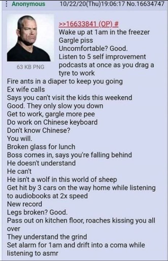 UselessFodder tweet media