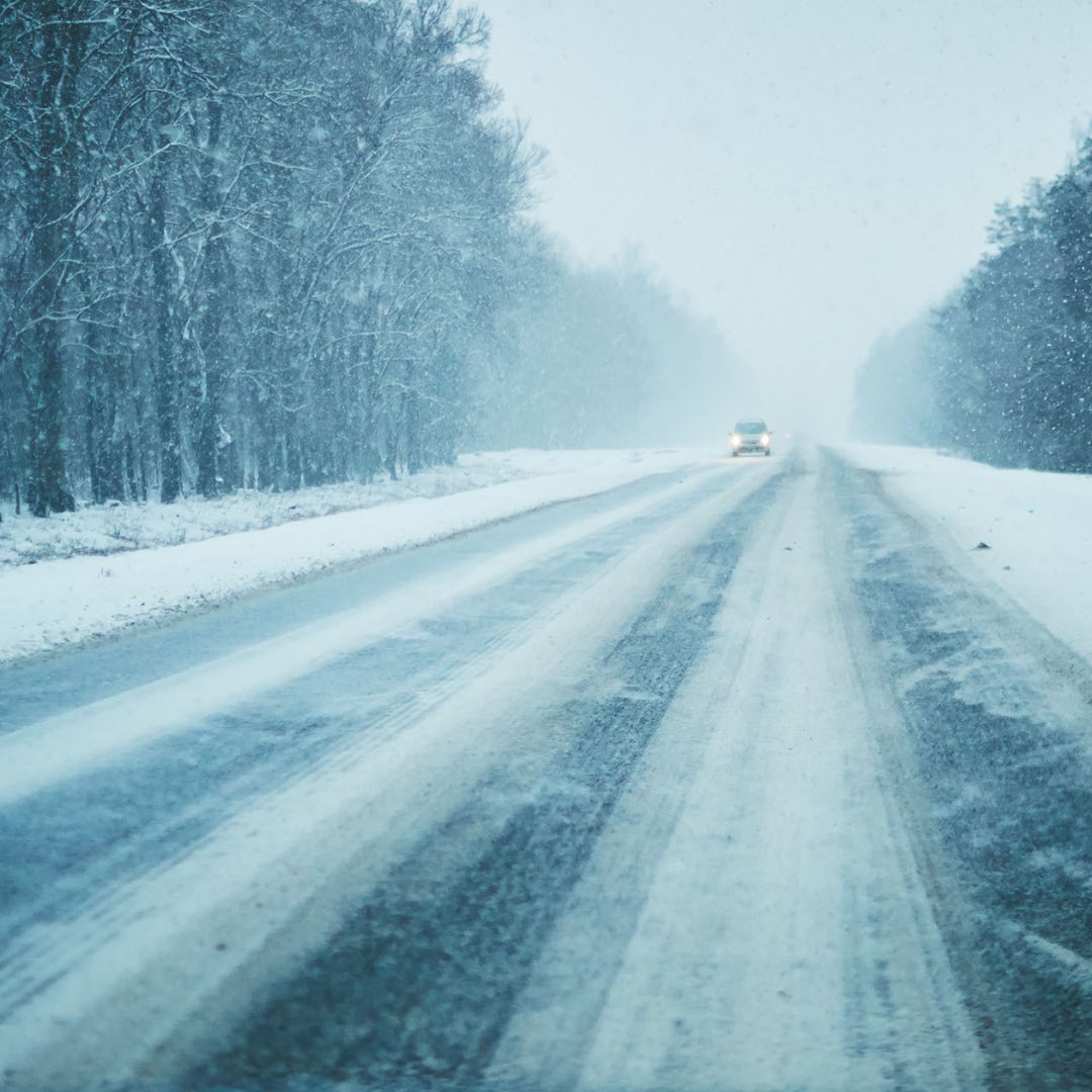 Maritime Bus tweet media