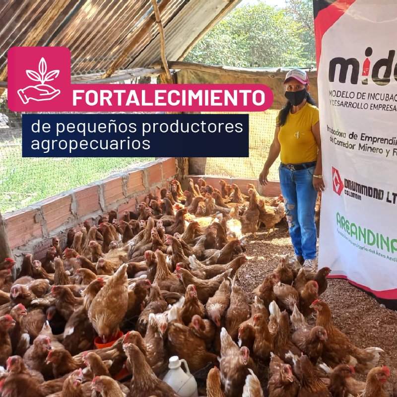 acmineriacol's tweet photo. En #MinExpoColombia2023 serás testigo del aporte histórico que ha realizado la minería para impulsar el desarrollo regional. 

Con el apoyo de @DrummondLtdCo más de mil empresarios han llevado a otro nivel sus emprendimientos.
