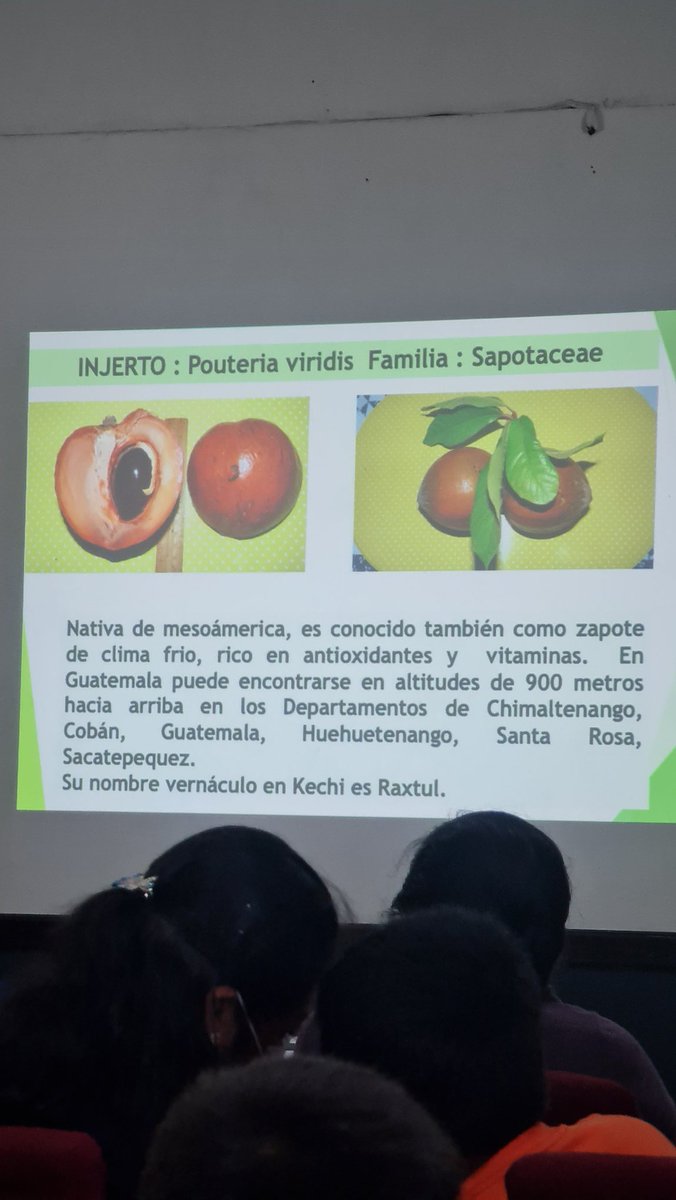 luisgaguilar's tweet photo. Gracias a el #AyuntamientodeLaAntigua, la Red Nacional de Grupos Gestores, #GoAgro, @coincaex y #agroblockchain se participa en la capacitación de pequeños productores agricolas en la implementación de tecnología (#blockchain).
. https://t.co/l8LCHFqL96
