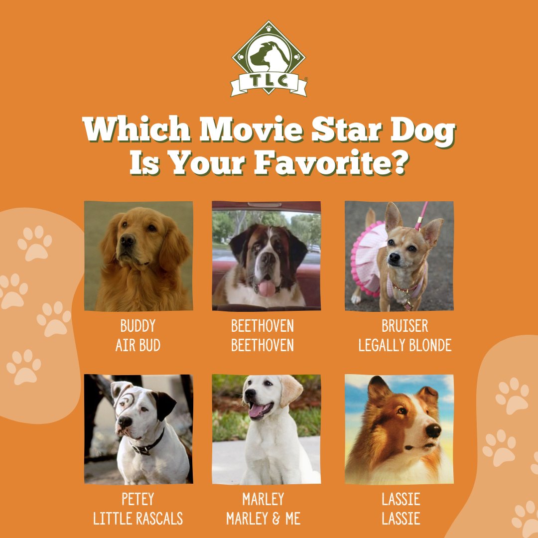 Some of the best movie characters have four legs!❤️ Let us know your favorite🐾 

#dogmovies #doggame #pets #petnames #doggo #dog #dosgofig #dogworld #ilovemypet #petsrule #