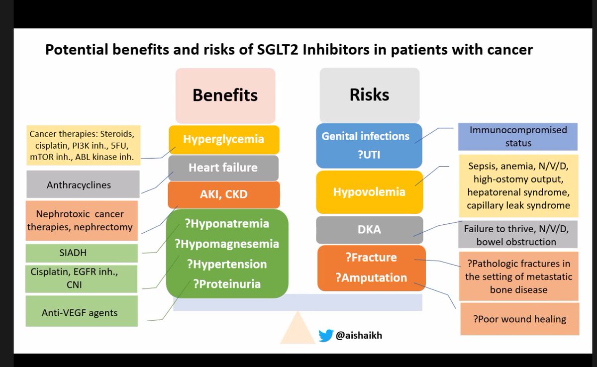 SGLT 2 use in cancer !! Excellent talk by flozinator extraordinaire @aishaikh .  @JOncoNeph #onconeph @SheronLatcha @MSK_Neph