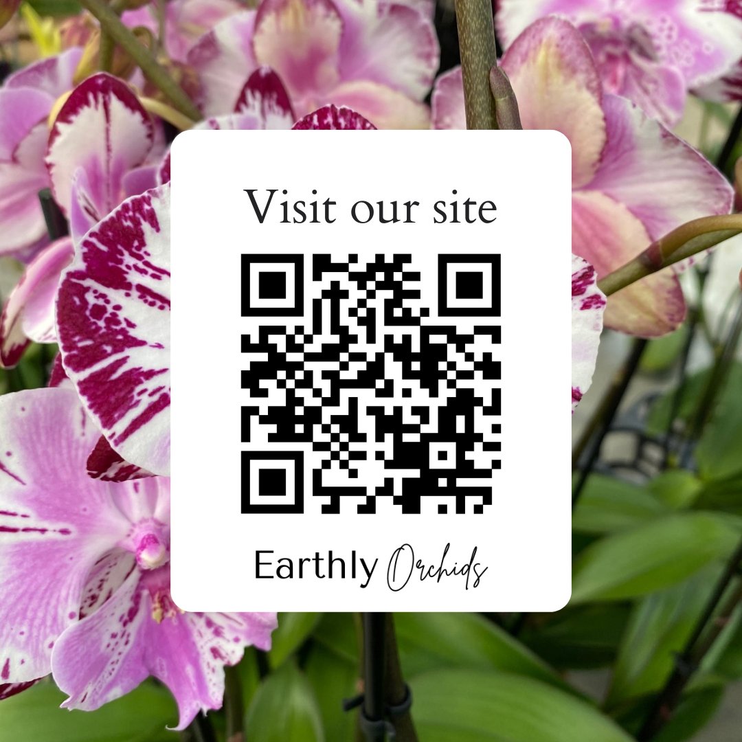 EarthlyOrchids's tweet photo. Visit our website, scan the QR code now!

#orchids #whiteorchids #earthlyorchids #orchidflowers #whiteflowers #orchidplants #orchidcare #orchidsforsale #orchidsonline #orchidblooms #orchidforsale #whiteorchidflowers #valentinesday2023 #orchidsforvalentines #valentinesorchids https://t.co/IXR7ANOszb