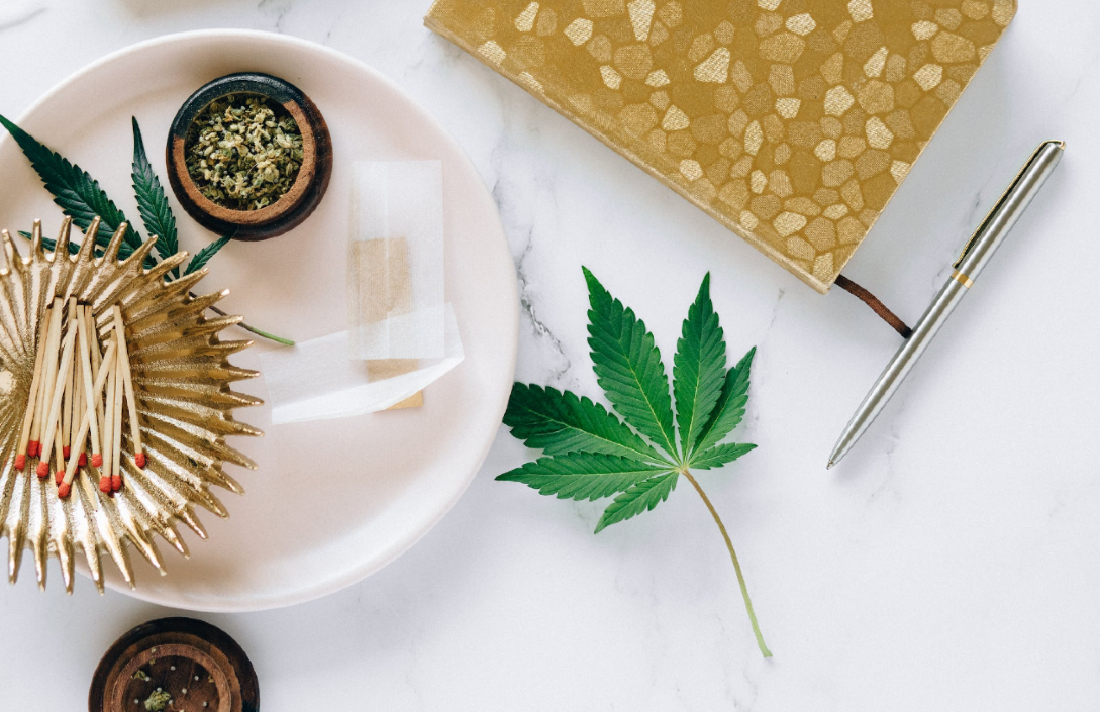 CannabisCulture's tweet image. How We Get High: Our Bodies Are Perfectly Primed For Consuming Cannabis #human #endocannabinoid #cannabinoid #science #consumption #Documentary #education bit.ly/3Ji9OTu