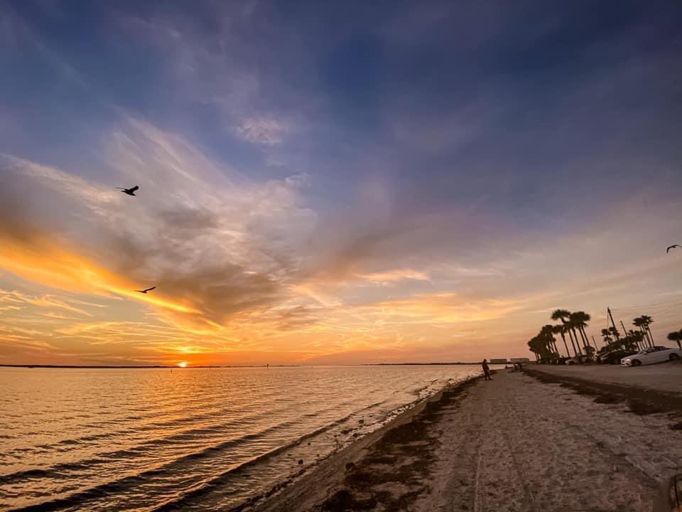 Floridian Creations tweet media