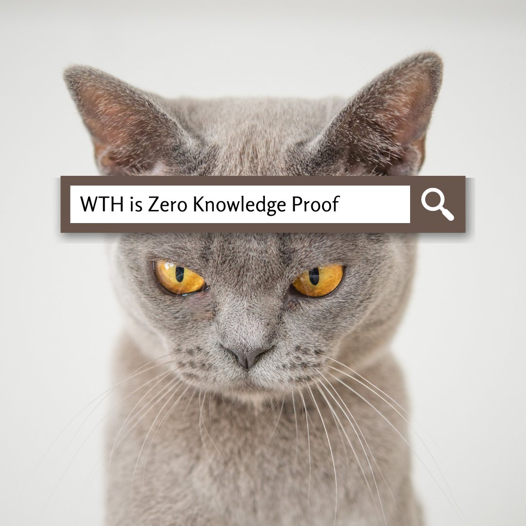 0xMilica's tweet image. I tried my best to explain #zkp in the most simple way I could! ๐ค
Fingers crossed that my article helps someone figure out #zeroknowledge proof concept ๐
0xmilica.com/what-is-zero-kโฆ
#cryptography #layer2 #l2