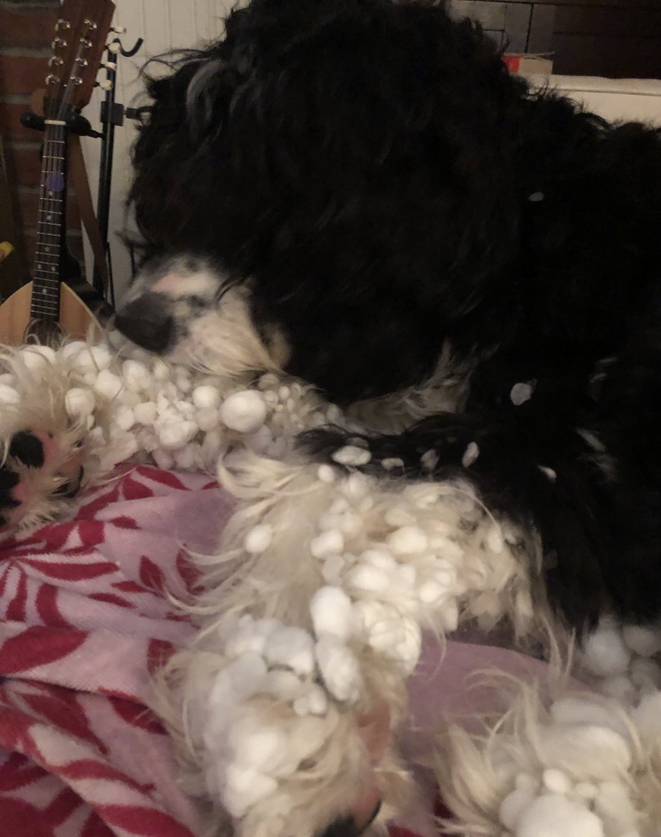 Can you tell it snowed??