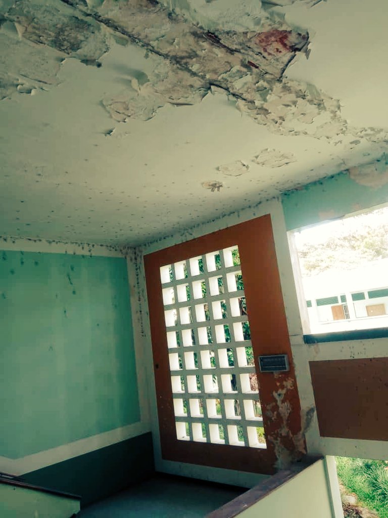 Todosula's tweet photo. Esta es una pequeña parte de la Facultad de Medicina de la Universidad de los Andes. En ese mismo estado se encuentran otras facultades y dependencias ULA por no recibir los recursos de parte del gobierno de miseria de Nicolas Maduro #ULA #sosula https://t.co/mYtgXh5f0U