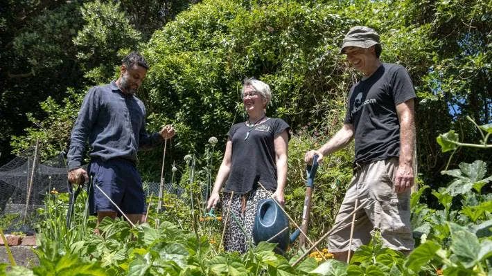 "As the rising cost of living digs in, the popularity of community gardens is growing across Wellington."

Thanks <a href="/NZStuff/">Stuff</a> for the write up: stuff.co.nz/dominion-post/…