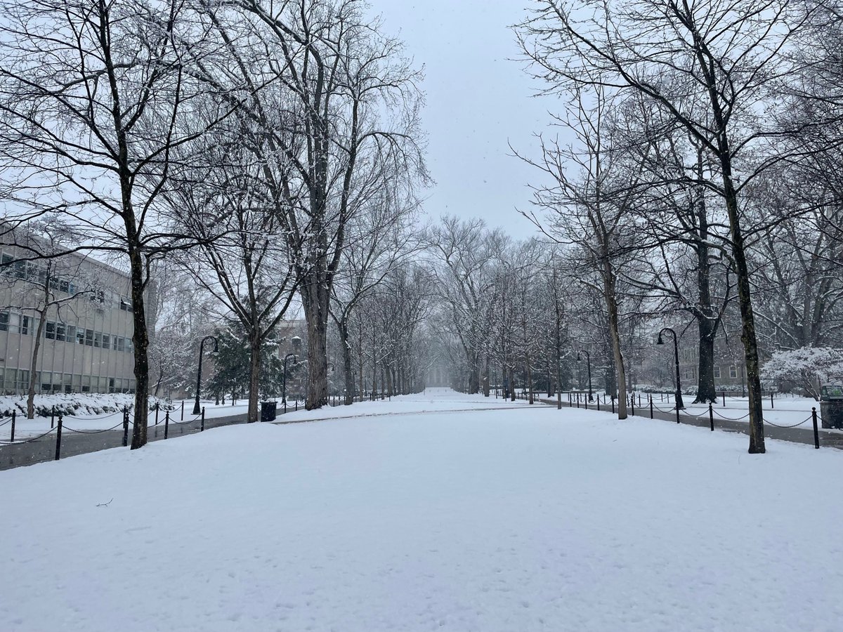 PSULAJobs's tweet photo. Hope you enjoyed your #SnowDay #PennState! #WeAre looking forward to our Liberal Arts Career Week events resuming tomorrow! Visit our website for the list of events: https://t.co/eKvPhUTuIF
@PSULiberalArts
#LiberalArts #LACareerWeek #Events #Career #CareerReady #Winter #Snow https://t.co/W5jKJXJOqj