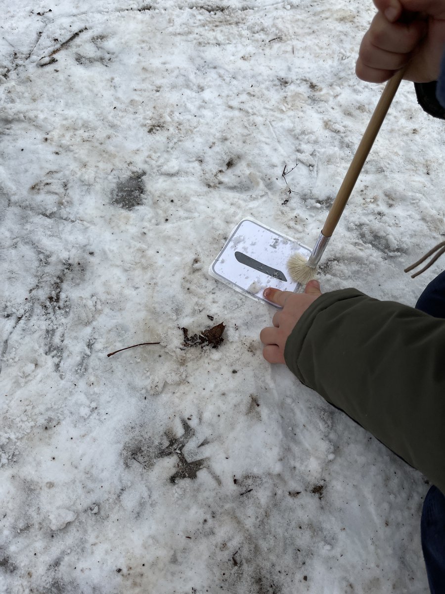 Renee Trivelli tweet media