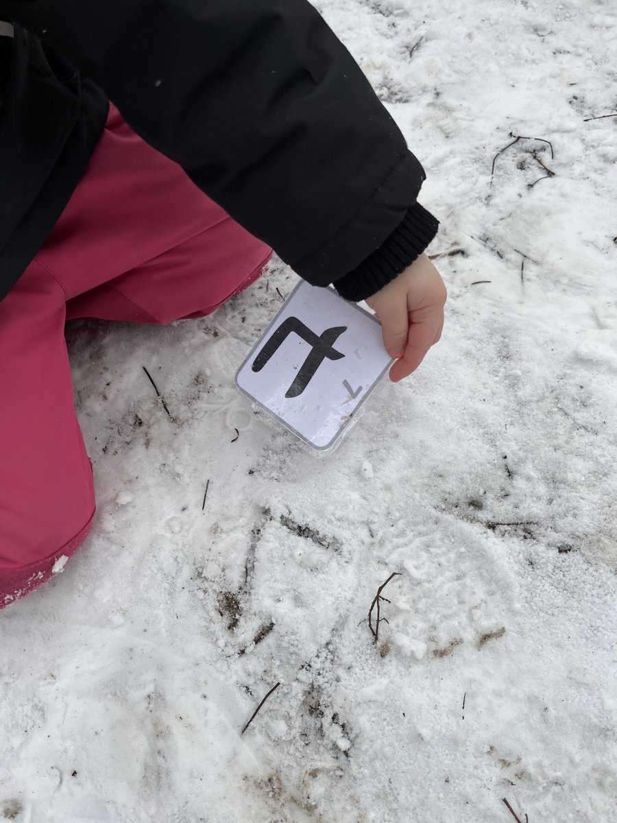 Renee Trivelli tweet media