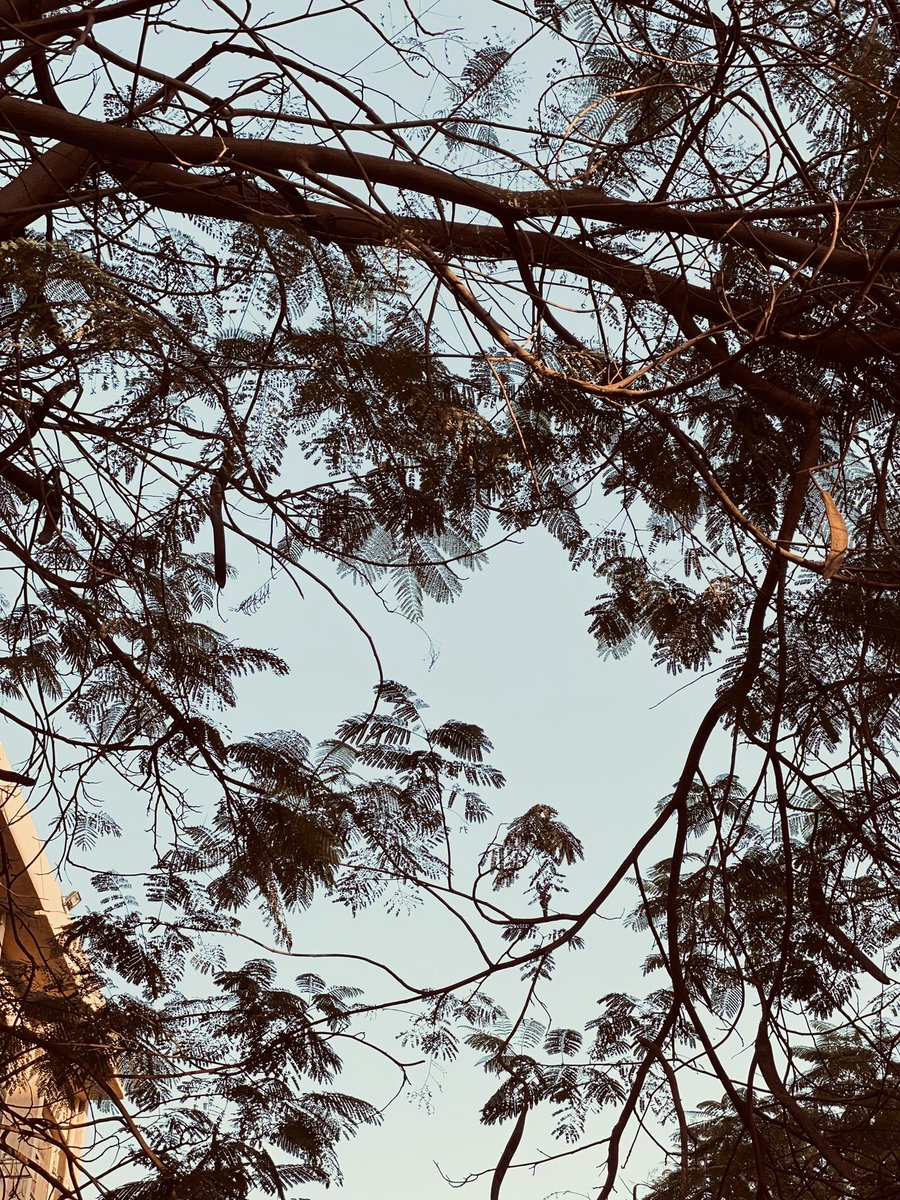 𝕽𝖒𝖆𝖍 (@ahme_dashraf1) on Twitter photo 