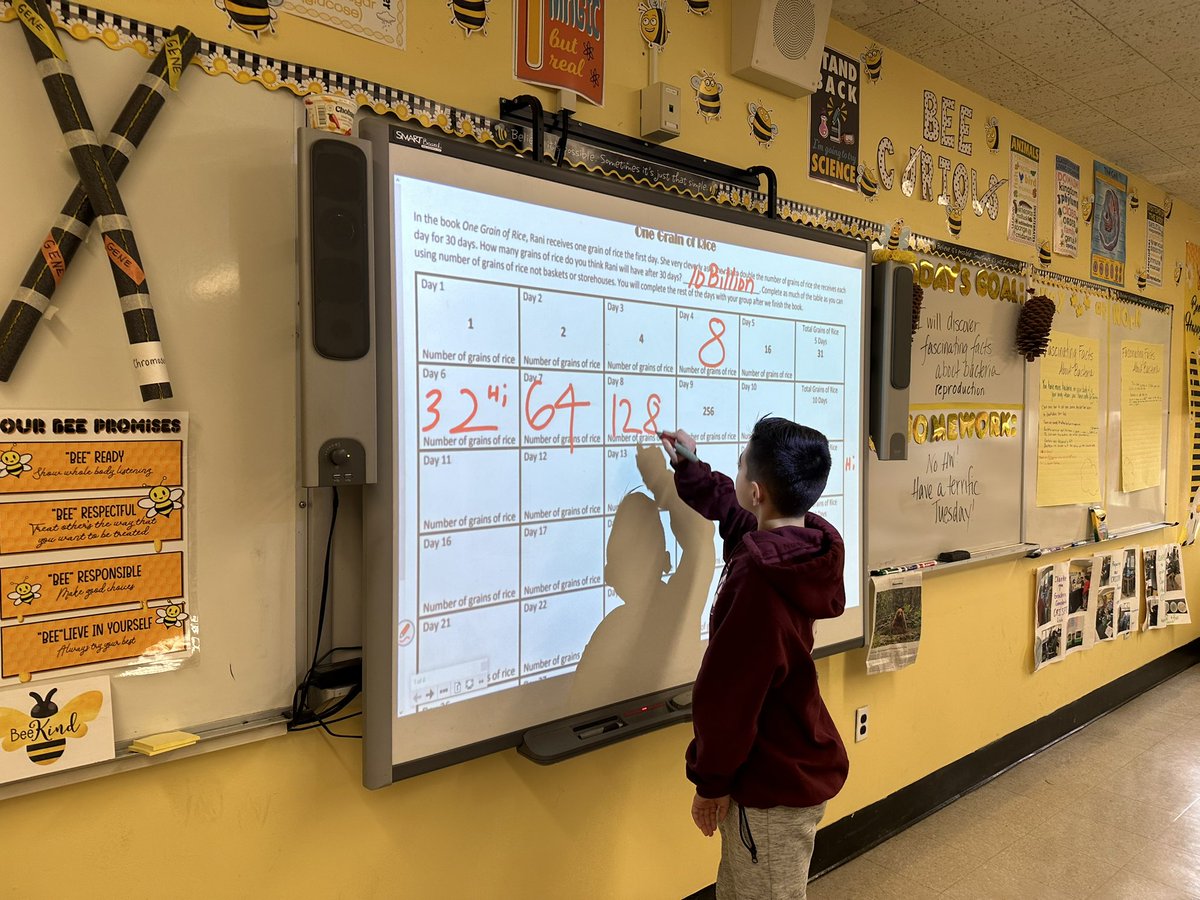 WenWanso's tweet image. 🧮 Counting rice 🍚 to model the doubling of bacteria 🧫 after reading One Grain of Rice 📕 @WTClarkeMS #mathinscience #teamworkmakesthedreamwork 1️⃣➡️2️⃣➡️4️⃣➡️8️⃣➡️1️⃣6️⃣➡️3️⃣2️⃣