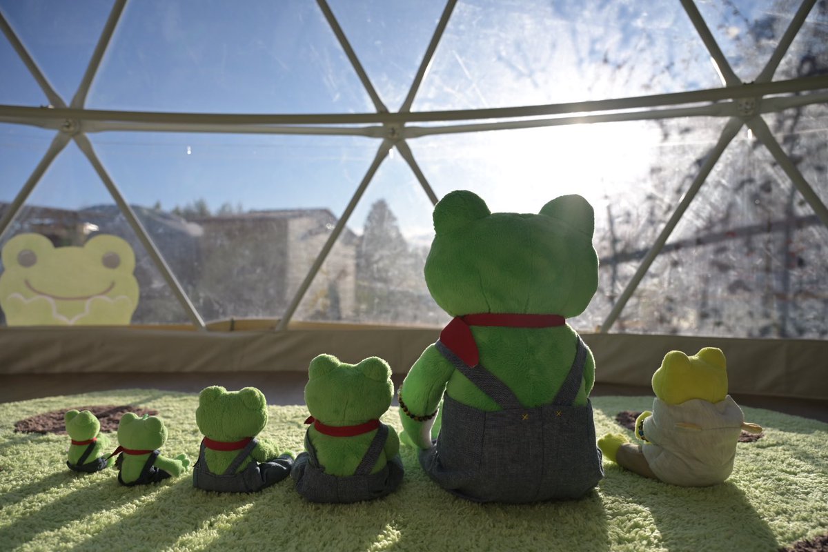 りらぴく tweet media