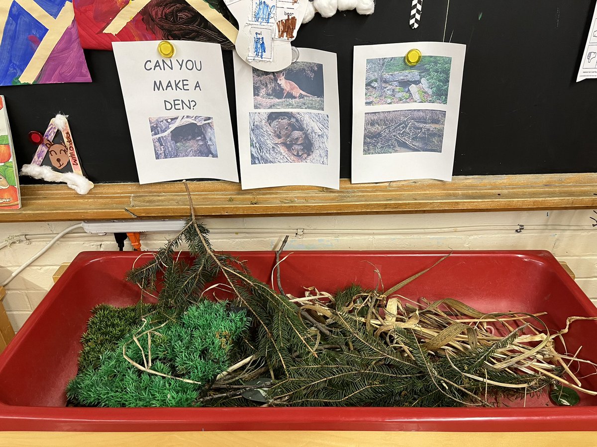The kinders at Queen Vic are exploring hibernation in the classroom this month. What an inviting way to get Ss inquiring about hibernating animals. Love to see provocations in action🎬 @EY_uwindsor