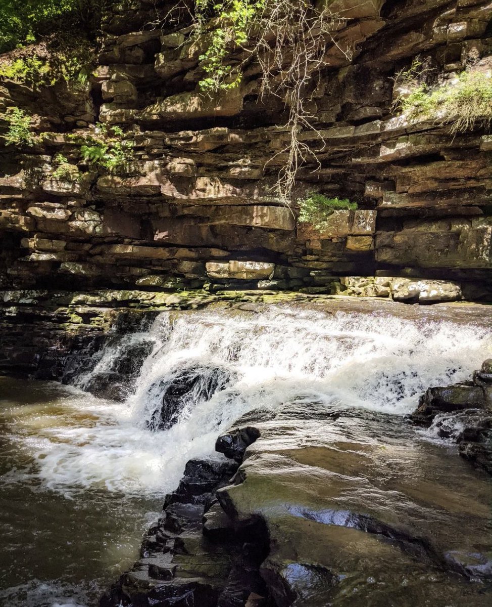 visitnorthal's tweet photo. How about some Pisgah Gorge Falls pics from @HSVadventurer? David has awesome directions on his website to these waterfalls at https://t.co/cWem0txKGG. 

#visitnorthal #pisgahgorgefalls #huntsvilleadventurer #waterfallchaser #waterfallwednesday #northalabamaambassador https://t.co/09qD3T1fCD