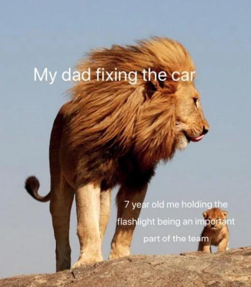 WholesomeMemes tweet media