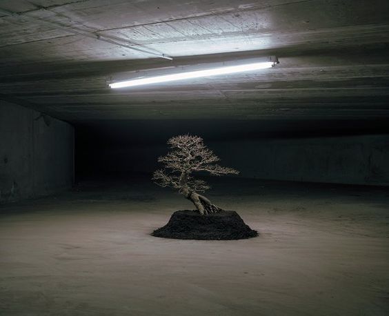 archillect's tweet photo. https://t.co/Fos6hBPXBv