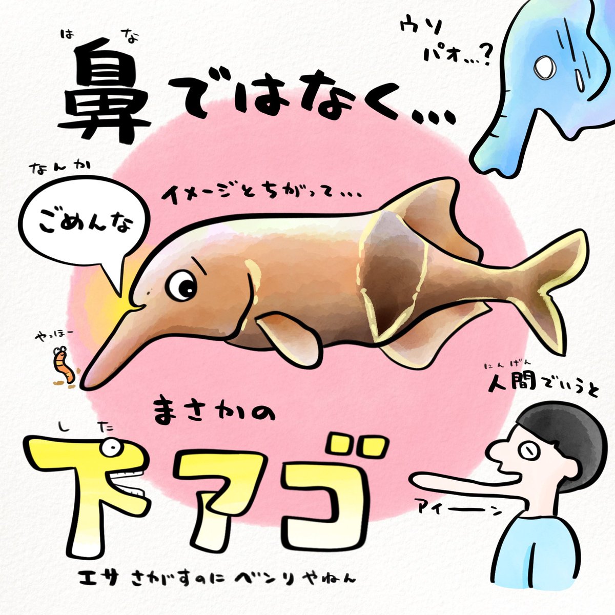 ゾウみたいなさかなの真実 