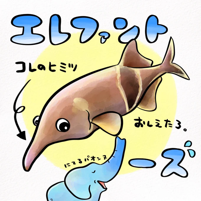 ゾウみたいなさかなの真実 