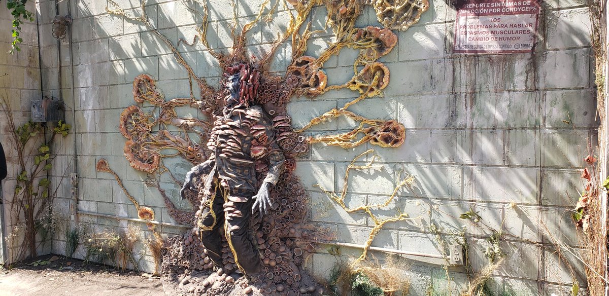 AMGBlock's tweet image. The Last of Us in Mexico City. Nice advertising @HBO