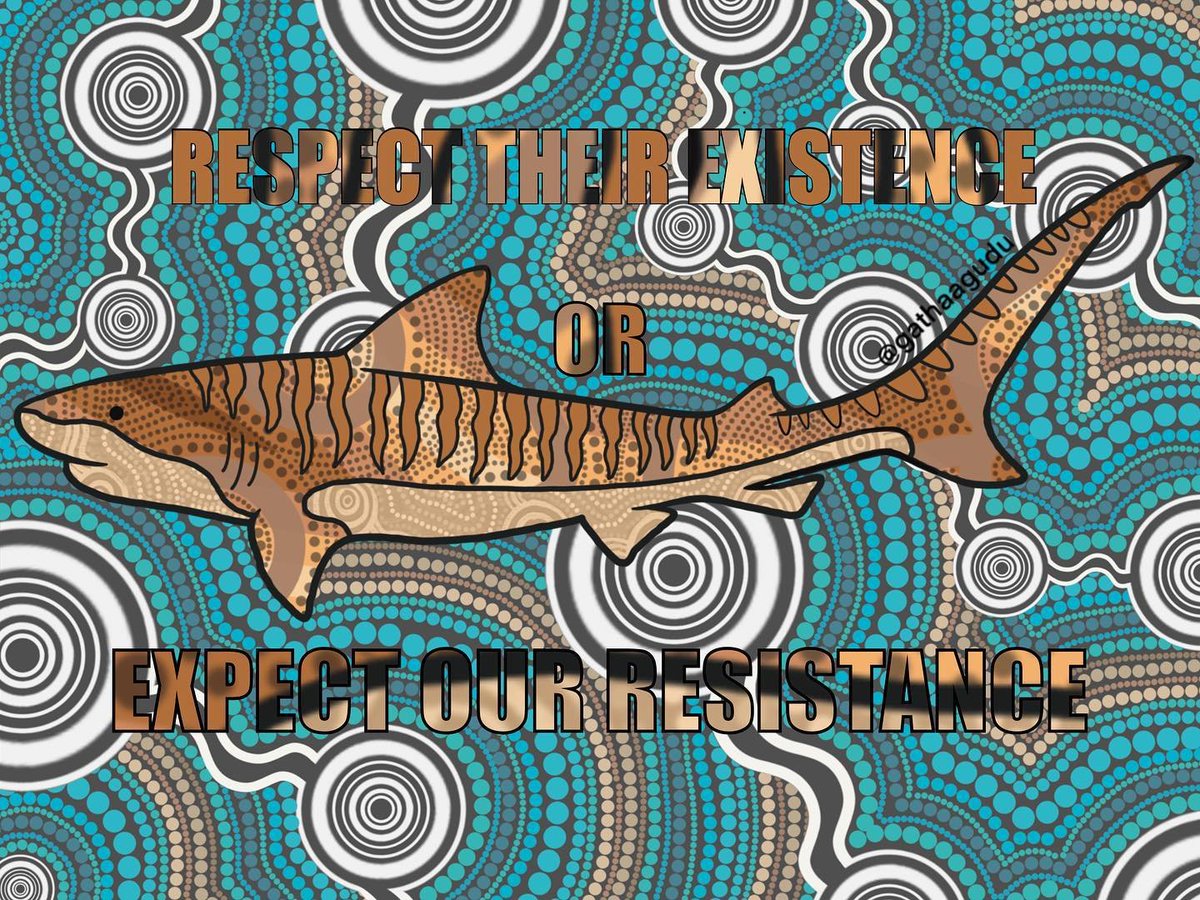 For #Aboriginal and #TorresStrait Islander people, #sharks have a significant #history. They are #creator beings, #ancestors, and #totems. Their #lifecycles reflect the #seasons, the #landscape and #sea country. They are seen in the movement of the stars. 
#Ban #shark #hunting